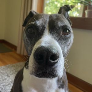 Meet your Posher, Emerson